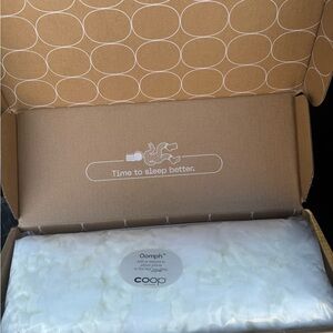 Coop Sleep Goods The Original Queen Size Memory Foam and Microfiber Pillow READ